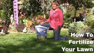 How To Fertilize Your Lawn [upl. by Enutrof122]