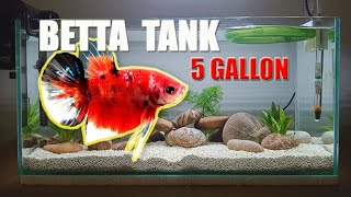 SETTING UP simple BETTA TANK 5 GALLON [upl. by Ocsecnarf755]