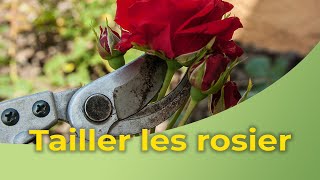 Comment tailler les rosiers [upl. by Hsirahc]