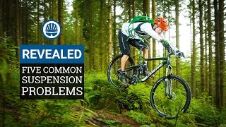 Five Common Suspension Problems amp How To Fix Them [upl. by Adnorehs]