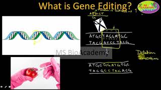 Genome editing with the CRISPRCas9 system [upl. by Hnao]