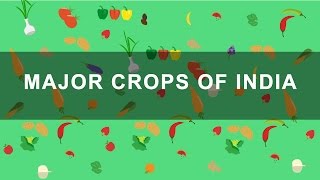 Major Crops of India  Rabi Kharif Zaid crops  Indian Agriculture Geography [upl. by Neelasor517]