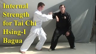 Internal Strength for HsingI Tai Chi Bagua Xingyi [upl. by Ariahs]