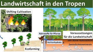 Landwirtschaft in den Tropen Zusammenfassung  Erdkunde Oberstufe Abitur [upl. by Leamaj]