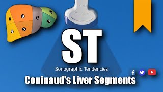 Ultrasound Couinauds Liver Segments [upl. by Plotkin]