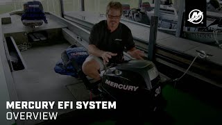 Mercury EFI System Overview [upl. by Onilecram]