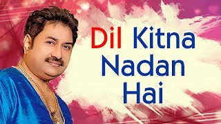 Kumar Sanu 90s hits  Dil Kitna Nadan Hai  Raja amp Rajeshwari  Best of kumar Sanu Song [upl. by Finnigan]