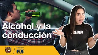 Efectos del alcohol al conducir  Prevención [upl. by Lottie]