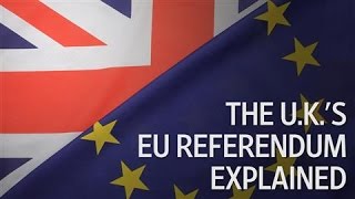 Brexit 101 The UKs EU Referendum Explained [upl. by Joyann312]