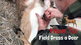 Field Dress a Deer in the Field in Minutes  Whitetail Doe [upl. by Wamsley]