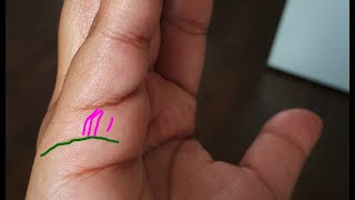 How to Read Children amp Marriage Lines  Hand amp Palm Reading [upl. by Esyak]