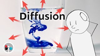 Diffusion How Molecules Actually Move [upl. by Olnek8]