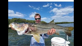 Giant Snook and Redfish Fishing  Epic Tampa Bay INSHORE FISHING [upl. by Philis]