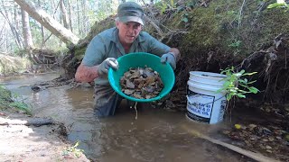 Panning And Sluicing For Gold In A Small Stream [upl. by Stephana168]