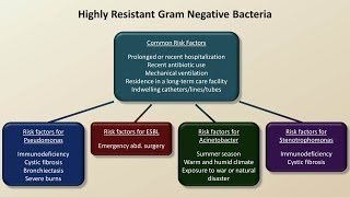 Antibiotics for Gram Negative Infections Antibiotics  Lecture 5 [upl. by Oravla]