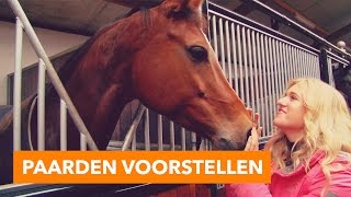 Paarden voorstellen  PaardenpraatTV [upl. by Pirozzo]