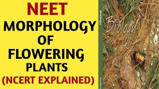 NCERTChapter 5Morphology of Flowering PlantsClass 11Quick Revision SeriesNEETAIIMSBiology [upl. by Akalam]