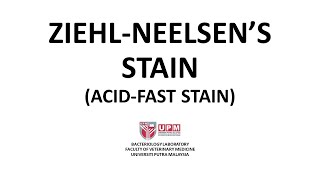 Ziehl Neelsen Stain AcidFast Stain  Principle Procedure and Interpretation [upl. by Dez]