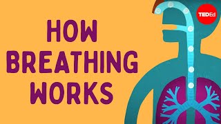 How breathing works  Nirvair Kaur [upl. by Arahas489]