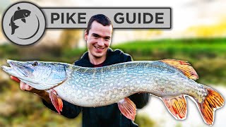 A Beginners Guide To Pike Fishing  Tactics Bait Lures Rigs and Unhooking [upl. by Chastain]