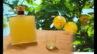 Homemade Limoncello  Italian lemon liqueur recipe [upl. by Mayyahk]