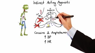 Pharmacology  ADRENERGIC RECEPTORS amp AGONISTS MADE EASY [upl. by Amador159]