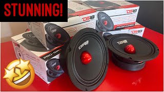 WOW DS18 ProGm 65” door speaker review midbass midrange [upl. by Roselyn860]