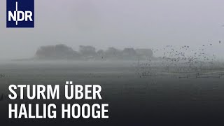 Land unter auf Hallig Hooge  die nordstory  NDR Doku [upl. by Eidde]