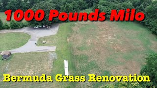 Milorganite Fertilizer 1000 POUND Application Bermuda Grass Renovation [upl. by Yael]