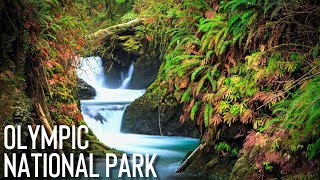 3Day Fishing Trip to Olympic National Park  Washington State [upl. by Edahc]