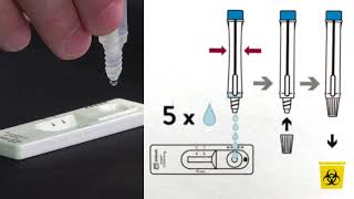 Rapid antigen screening [upl. by Worsham]