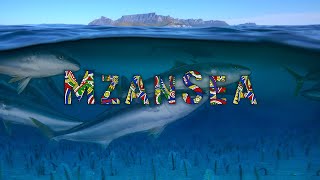 MzanSea  A celebration of South Africas oceans and new Marine Protected Areas [upl. by Burnley]