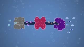 Enzymes Feedback Inhibition and Allosteric Regulation [upl. by Lulu]