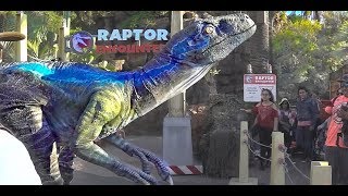 Velociraptor BLUE at Raptor Encounter Jurassic World at Universal Studios Hollywood [upl. by Davidde812]