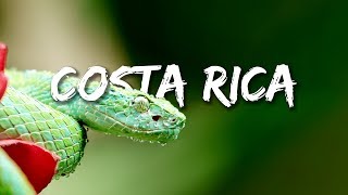 COSTA RICA IN 4K 60fps HDR ULTRA HD [upl. by Kcirednek556]