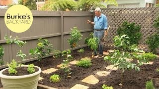 Burkes Backyard Dwarf Fruit Tree Makeover [upl. by Nira]