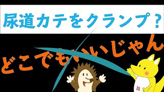 【いまさら聞けない2】尿道カテーテルってどこクランプする？？ [upl. by Llener922]