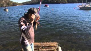 Bream fishing with prawn baits [upl. by Wiley693]