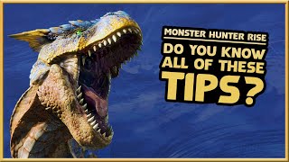 Monster Hunter Rise  18 ADVANCED TIPS  Master The Hunt [upl. by Aicyle]