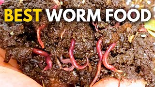 What to Feed Worms Vermicompost Made EASY [upl. by Martres699]