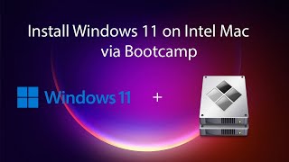 Installing Windows 11 via Bootcamp [upl. by Kendre]