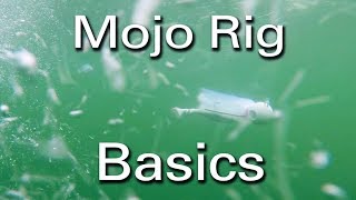 How to Troll Mojo Rigs for Striped Bass [upl. by Aihtnyc]