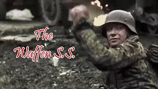 The Waffen SS Intense Combat Footage [upl. by Ilbert]