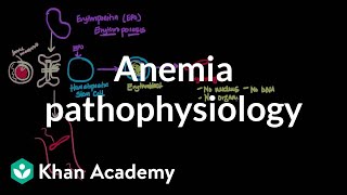 Anemia pathophysiology  Hematologic System Diseases  NCLEXRN  Khan Academy [upl. by Cherry]