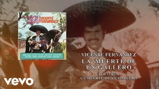 Vicente Fernández  La Muerte de un Gallero Cover Audio [upl. by Ieluuk]