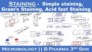 Staining techniques in microbiology  Simple staining  Gram s staining  Acid fast staining U2 [upl. by Jillayne]