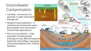 Environmental Concerns of Pesticide Use [upl. by Nyra549]