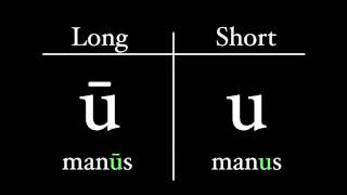 The Latin Alphabet  Vowel Pronunciation [upl. by Staw]