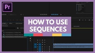 How to Use Sequences in Premiere Pro  for Newbs [upl. by Abey]