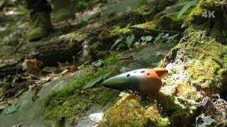 【オカリナ・4K】忘れじの言の葉／未来古代楽団 on Ocarina [upl. by Fredelia415]